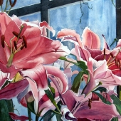 Gadd (1) Img #2  Longwood Gardens Lilies