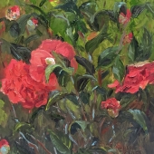 Gaines (1) Img #2  Buds and Blooms