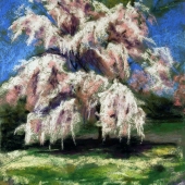 Gladstone (1) Img #1  Pretty In Pink