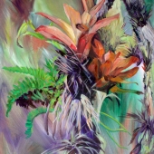 Harvill (1) Img #2  Jewel of the Rainforest