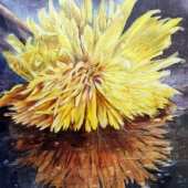 Hastings (1) Img #2 Dandy Dandelion