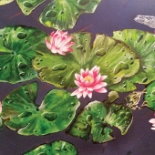 Hughes-T (1) Img #5  Lily Pads & Friends