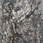 Mendez (1) Img #2  Moving Up