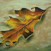 Milcheva (1) Img #2  The King