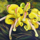 Millard (1) Img #1 Lemon Daze