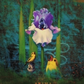 Moler (1) Img #1  Anima