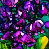 Perrins (1) Img #2  Our Orchids