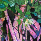 Powers (1) Img #1 Avocado Tree