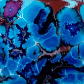 Quinn-S (1) Img #2  Prickle-Wickle