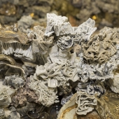 Skelly (1) Img #2 Detail of Constructing Awkward Beauty