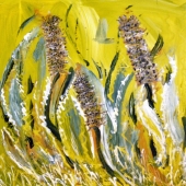 Swift-C (1) Img #1  Banksias