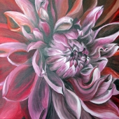 Tasi (2) Img #1  Gerbera Flower