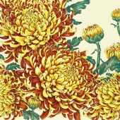 4th Place - Paint - Spence (1) Img #1  The Imperial Order