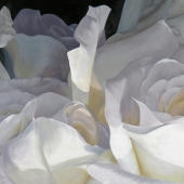 HM - Paint - Burnham (1) Img #2  Innocence