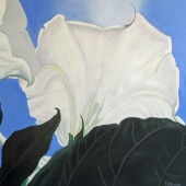 HM - Paint - Skiadas (1) Img #5  Wild Datura Sky