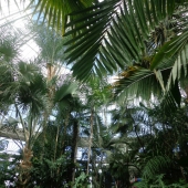 Agardici (3) Img #2 Botanical Garden