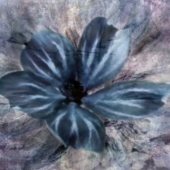 Sky And Sea Digital Painting by Tlynn Brentnall