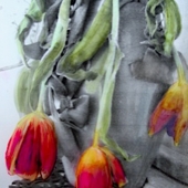 Burley (1) Img #1  Fallen Flower