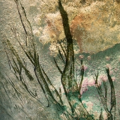 Cruz (1) Img #1 Cool it 1