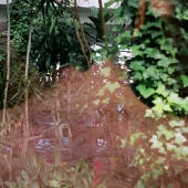 Ebben (1) Img #2  Locus Amoenus III