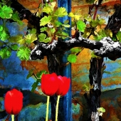 Mink (1) Img #2  Signs of Spring