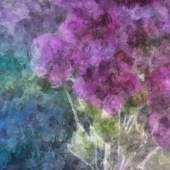 Cotton Rose Digital Painting by Tlynn Brentnall