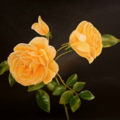 Dargin (1) Img #1  Roses