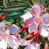 Gadd (1) Img #1 Floral Fanfare