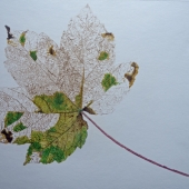 Guizar-Garibay (1) Img #2  Trace of Beauty I