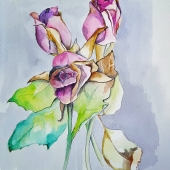 Hawkins (1) Img #1  Beauty of the Slowly Dying