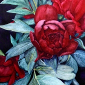 Hornberg (1) Img #2   Sanguine Blossoms