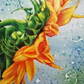 Hughes-T (1) Img #1  Facing East