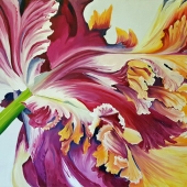 Jaman (1) Img #1  Radiance I