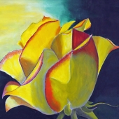 Kelton (1) Img #2  Solitary Rose