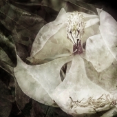 Kirk-Detberner (1) Img #1  Endings