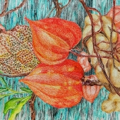 Lazo-Flores (1) Img #2 Lapse in Time