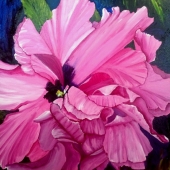 McDermott (1) Img #1 Secrets Kept