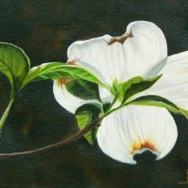 Meader-Riggs (1) Img #1  Blessed Spring