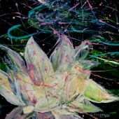 Paranich (1) Img #1 Pond Series 3, Water Lily