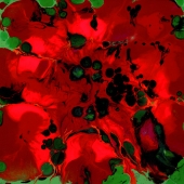 Quinn-S (1) Img #1 Remember Remember