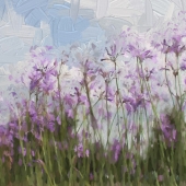 Rems (1) Img #1  Old Master Floral