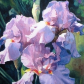 Rhyan (2) Img #1  Lavender Irises