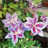 Roberts-E (1) Img #1  Climatis