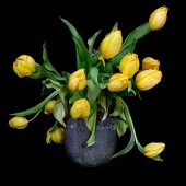 Sejbjerg (1) Img #1  Untitled