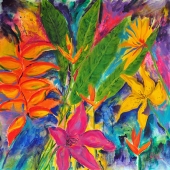 Solis (1) Img #2 Trópico