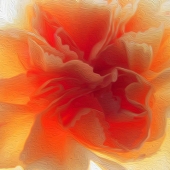 Surana (1) Img #3 Embrace