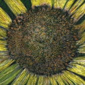 Wolitzer (1) Img #1  Birthday