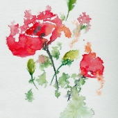 Wong-R (3) Img #1 Roses