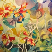 Boltong (1) Img 5  Nasturtiums