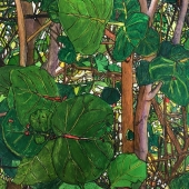 Lyons (2) Img #2  SeaGrapes